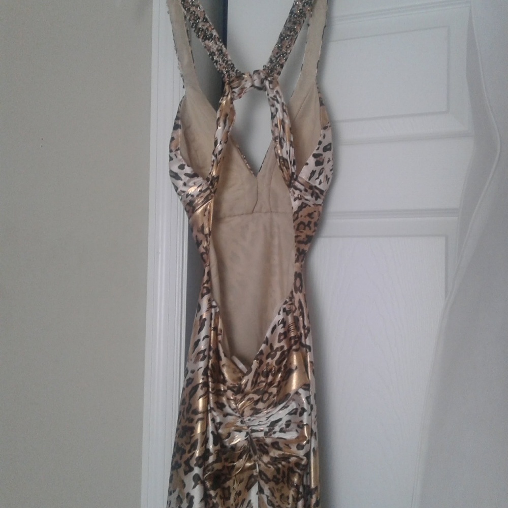 Prom Dress - Picture 4 of 4